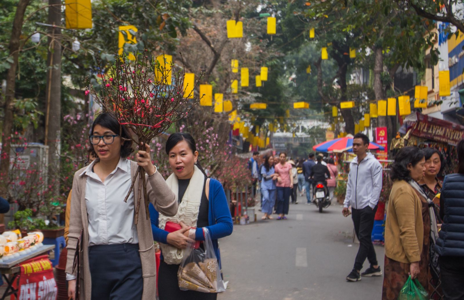 Như một nét truyền thống lâu năm, những ngày cận Tết dù có bận rộn nhưng người Hà Nội vẫn dành thời gian để đến đây mua, ngắm hoa