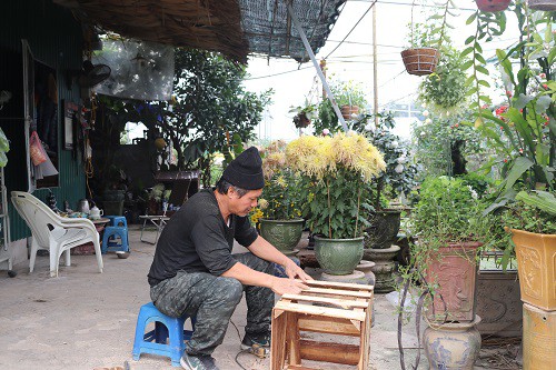  Ông Nguyễn Gia Trọng - chủ vườn cúc bạc tỷ tại quận Tây Hồ, Hà Nội. 