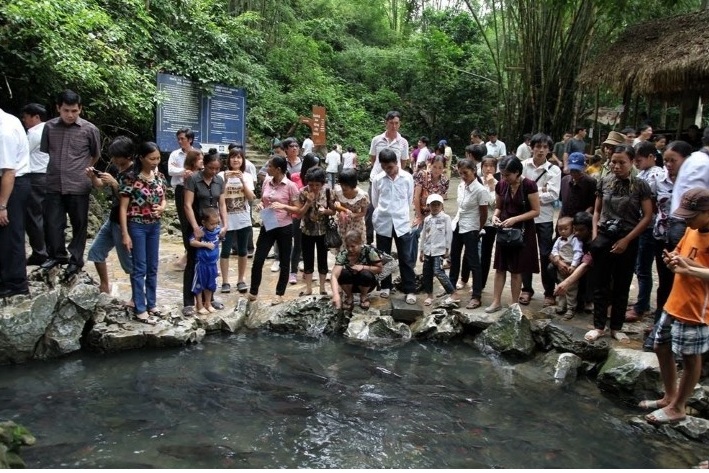 Ngày càng có nhiều du khách đến suối cá Cẩm Lương