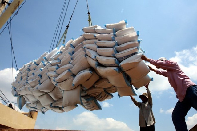 Xuất khẩu gạo của Việt Nam năm nay dự báo tiếp tục khó khăn do nhu cầu hạn chế và cạnh tranh gay gắt từ một số quốc gia. Ảnh: TL