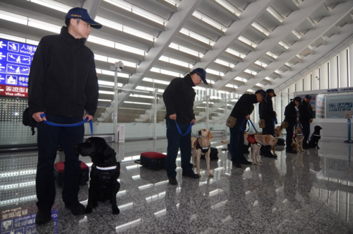 Những sĩ quan cùng chó nghiệp vụ làm nhiệm vụ tại sân bay quốc tế Đào Viên. (Ảnh: Central News Agency).