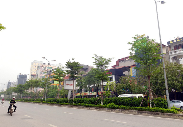 Phố Trần Vỹ (Dịch Vọng - Cầu Giấy) nằm cạnh nghĩa trang Mai Dịch nơi có rất nhiều nhà hàng, quán ăn phục vụ từ sáng sớm đến đêm khuya chạy dọc chủ yếu bên phải của tuyến phố.