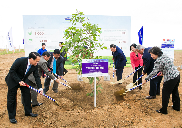 Nhân dịp khởi công “Resort” bò sữa Organic, các đại biểu đã trồng cây chăm pa, cây lộc vừng và cây hoa anh đào tượng trưng cho 3 nước Lào - Việt Nam – Nhật Bản.