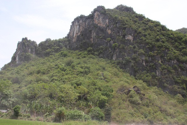 Hang Cò nằm ngay dưới núi đá phủ xanh bởi cây dại tự nhiên.