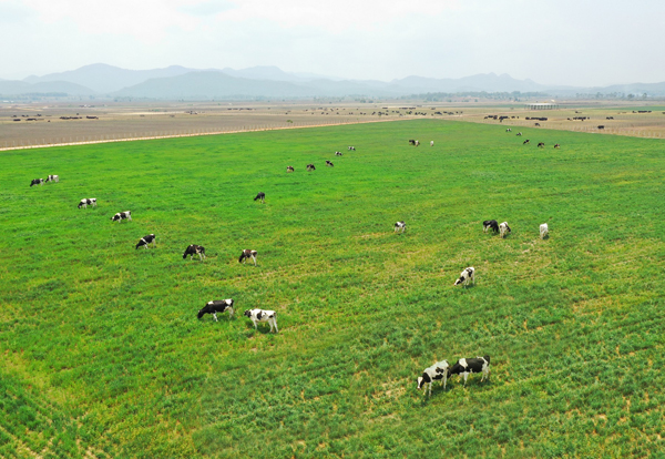 Các trang trại bò sữa Organic của Vinamilk là một trong những điểm nhấn được Hội nghị đánh giá cao.