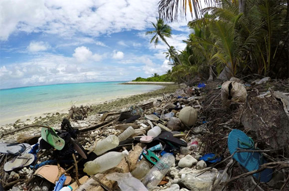 New Zealand: Chính thức cấm túi nhựa sử dụng một lần - Ảnh 1