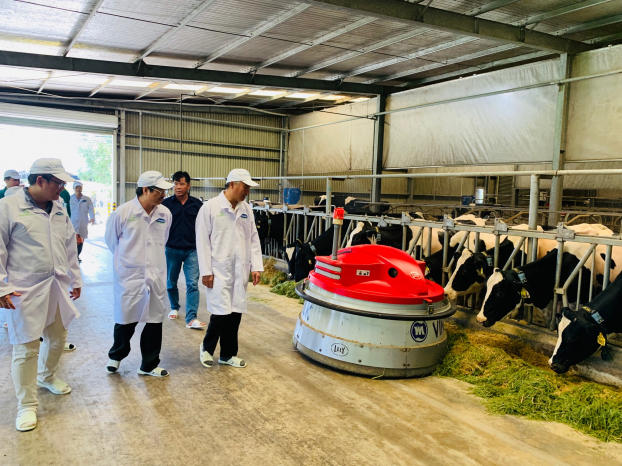 Vinamilk xây dựng vùng chăn nuôi bò sữa an toàn theo quy định tổ chức thú y thế giới 2