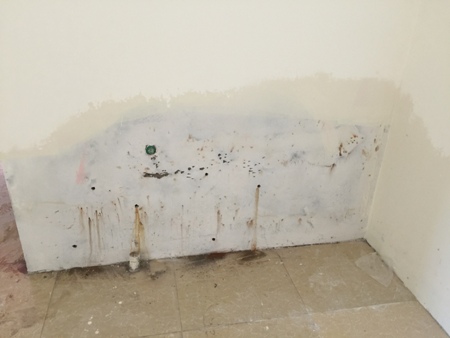Nhiều căn hộ bị ngấm nước, sơn tường bị bong tróc.