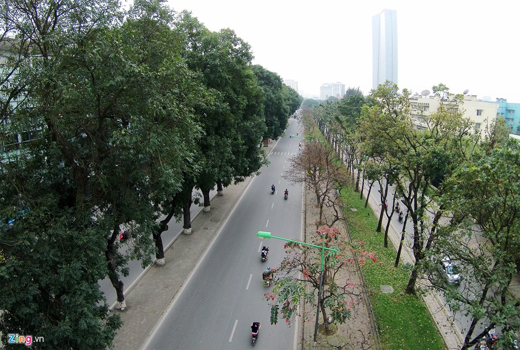 Dòng chữ chào mừng 70 năm Cách mạng Tháng 8 - Quốc khánh 2/9 trên đường Đinh Tiên Hoàng.