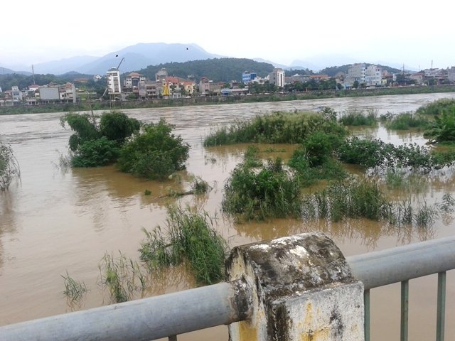 Lũ ngập bãi Soi Tiền ở giữa sông - Ảnh: Hồng Thảo