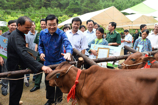 Tháng 6/2014, Chủ tịch nước Trương Tấn Sang chính thức phát động Chương trình Bò giống giúp người nghèo biên giới, với mục tiêu trong hơn 2 năm trao tặng 24.000 con bò giống cho hộ nghèo, góp phần phát triển kinh tế bền vững nơi phên dậu quốc gia.  Tháng 10/2015, Chương trình đã hoàn thành việc trao tặng 24.000 con bò giống đã đến tay người dân nghèo – về đích sớm 1 năm so với dự kiến. Đó là cuộc chạy đua giữa lòng nhiệt huyết với cái đói, cái nghèo. Đó cũng là cuộc chạy đua để sự quan tâm đến được với những gia đình cần hỗ trợ có được sinh kế mới.