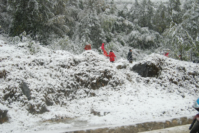 Hình ảnh mưa tuyết xuất hiện ở vùng cao Sa Pa trung tuần tháng 12 năm 2013.