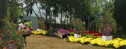 Những con đường làng quanh co, những gánh hàng hoa chở Xuân xuống phố trong Lễ hội hoa Xuân Ecopark 2016.
