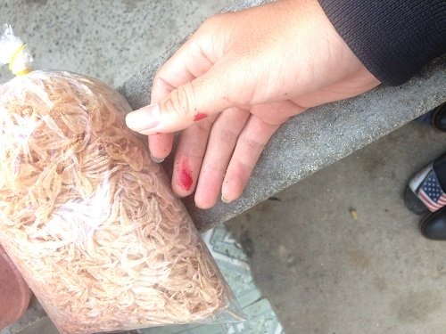 Màu của hóa chất nhuộm đỏ ruốc khó phai khi dính vào tay