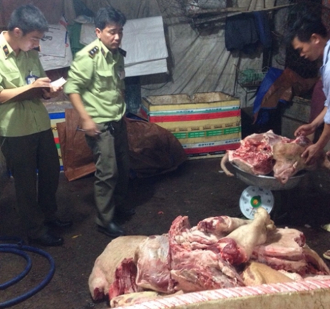 Hơn 1,8 tấn thịt heo đã bốc mùi hôi thối được cất giấu trong các thùng xốp; một số khác vừa được xẻ thịt chuẩn bị bán ra thị trường.