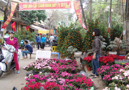 Chợ Hoa Hàng Lược - điểm đến không thể thiếu của người dân thủ đô những dịp cận Tết