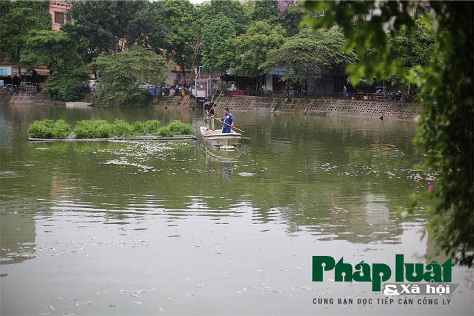 ha noi ca lai chet noi trang ho