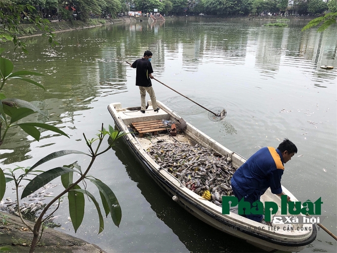 ha noi ca lai chet noi trang ho