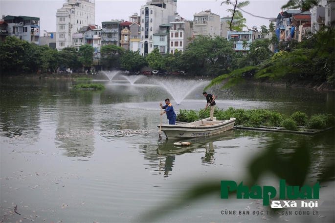 ha noi ca lai chet noi trang ho