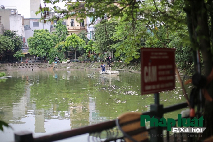 ha noi ca lai chet noi trang ho