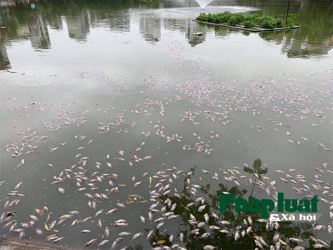 ha noi ca lai chet noi trang ho