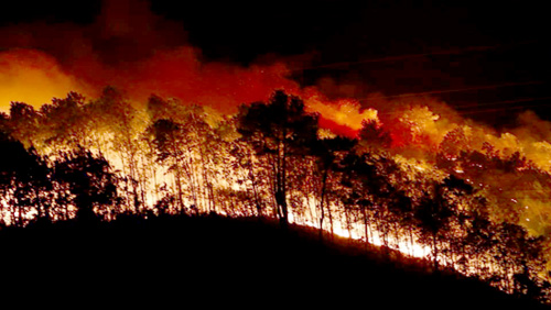Đám cháy bùng phát dữ dội tại khu vực núi Nầm Hương Sơn (Hà Tĩnh), người dân phải di dời ngay trong đêm