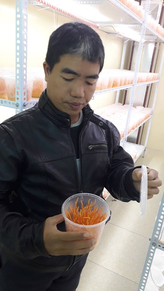 p/Ông Nguyễn Văn Cường, Viện trưởng Viện Nghiên cứu và ứng dụng Nông nghiệp hữu cơ kiểm tra đông trùng hạ thảo tại cơ sở nghiên cứu.p/