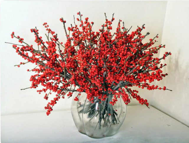  Hoa đào đông mang sắc đỏ may mắn được nhiều người lựa chọn 