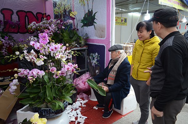 Hà Nội: Rộn ràng không khí tết tại chợ hoa Xuân - Ảnh 8