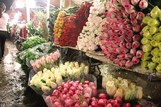 Hoa hồng bán chạy nhất vào những ngày này. Các chủ hàng đánh hàng ngàn bông hồng các màu để phục vụ thượng đế. 