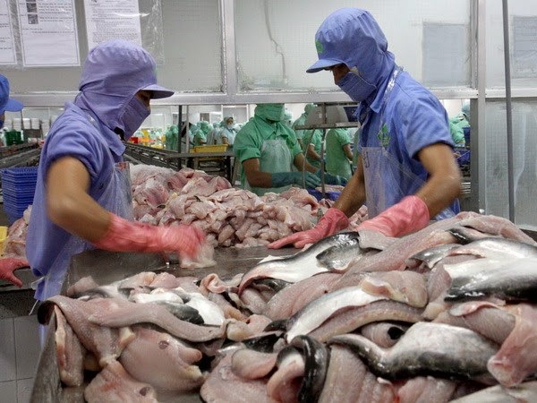Hiện Việt Nam chỉ đứng sau Trung Quốc đối với mặt hàng xuất khẩu cá đông lạnh vào Mexico (Ảnh TL)