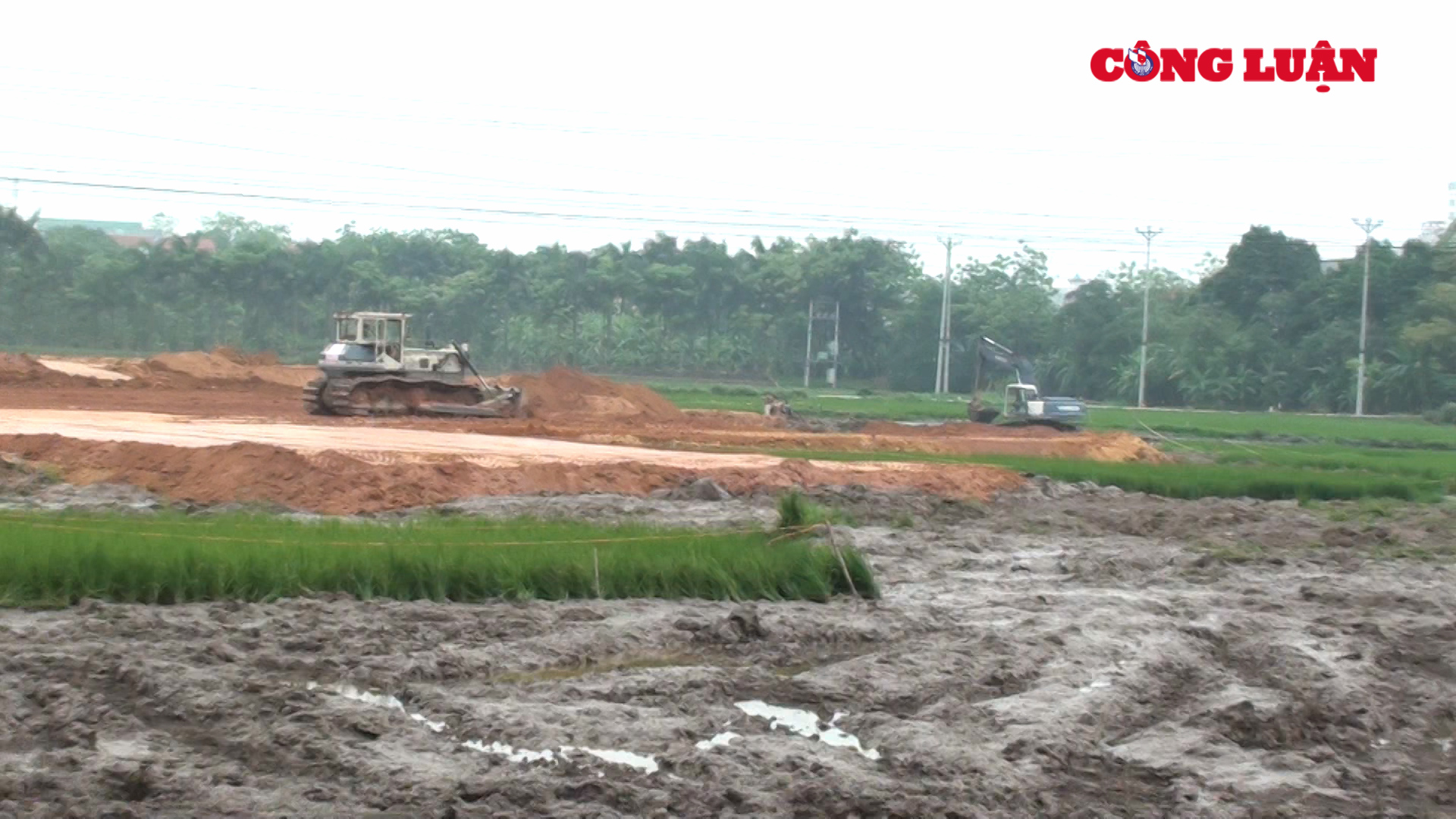 Nhiều ruộng lúa đang lên đòng bị máy múc phá hủy trong quá trình thi công dự án.