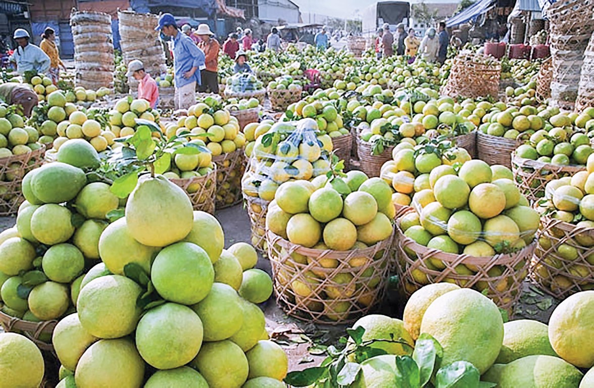 Xuất khẩu trái cây Việt đang được coi là gặp nhiều điều kiện thuận lợi.