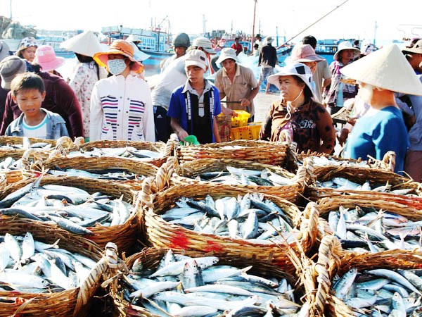 Với việc Trung Quốc nới lỏng chính sách nhập khẩu, thủy, hải sản Việt Nam đang rộng đường tiến vào thị trường đông dân nhất thế giới. (Ảnh TL)