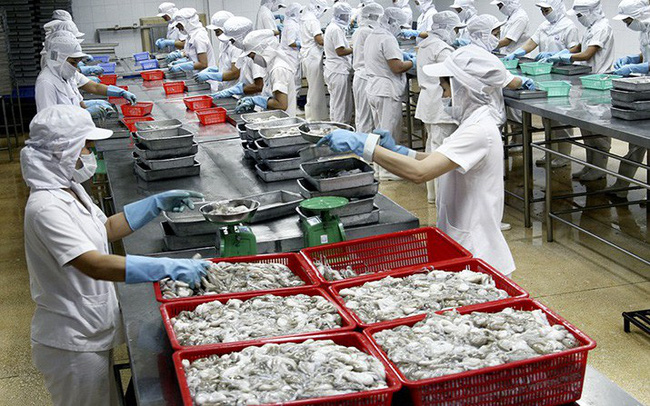 Nhập khẩu mực, bạch tuộc của Hàn Quốc những năm gần đây có xu hướng tăng do nhu cầu đối với nguồn thực phẩm lành mạnh, tốt cho sức khỏe tăng. (Ảnh TL)