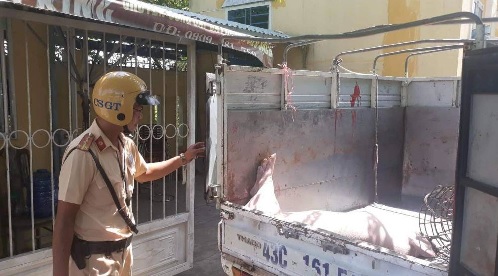 Đà Nẵng phát hiện xe chở lợn chết vào thành phố tiêu thụ - Ảnh 1