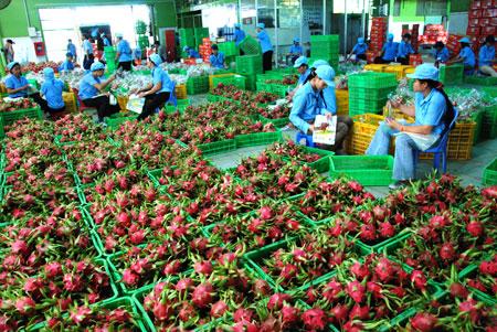 Xuất khẩu rau quả ước đạt 1,83 tỷ USD - Ảnh 1