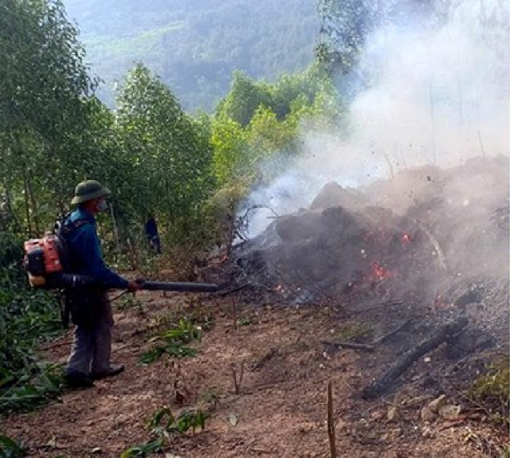 Nghệ An: Khoảng 15ha rừng thông 15 tuổi bị lửa thiêu rụip/- Ảnh 1