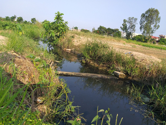 Hải Phòng: Hàng chục hecta ruộng ở huyện An Dương bỏ hoang vì mương thủy lợi ô nhiễm - Ảnh 1.