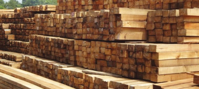 Vấn đề nguyên liệu và nguồn gốc gỗ hợp pháp là điều tất yếu trong xu thế hội nhập của ngành lâm nghiệp. (Ảnh TL)
