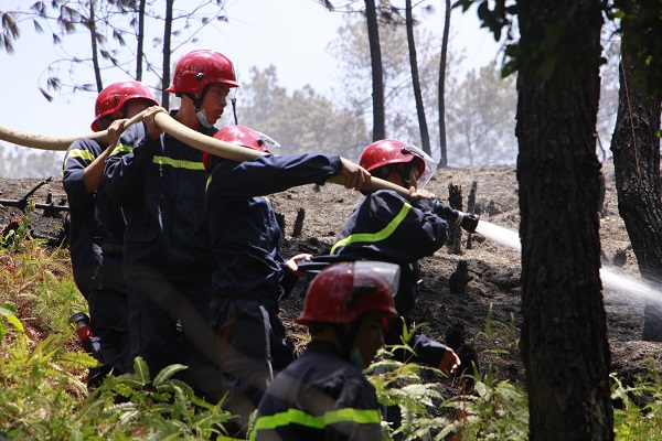 Sáng cứu 5 người khỏi vụ cháy nhà, trưa khống chế vụ cháy rừng thông hàng chục năm tuổi - Ảnh 5