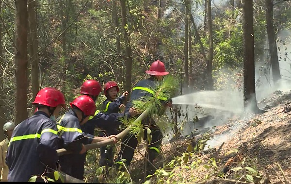 Sáng cứu 5 người khỏi vụ cháy nhà, trưa khống chế vụ cháy rừng thông hàng chục năm tuổi - Ảnh 6