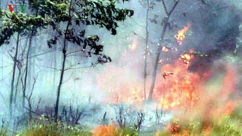Cháy 20 ha rừng trồng của người dân tại Thừa Thiên - Huế - Ảnh 2