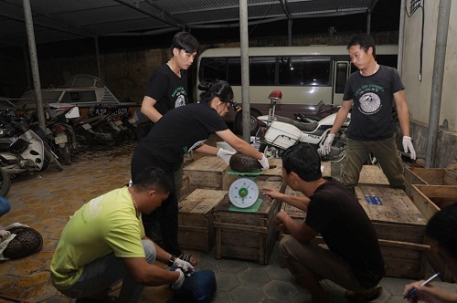 Hà Tĩnh: Bắt giữ 2 đối tượng vận chuyển 140 kg động vật hoang dã qua biên giớip/- Ảnh 2