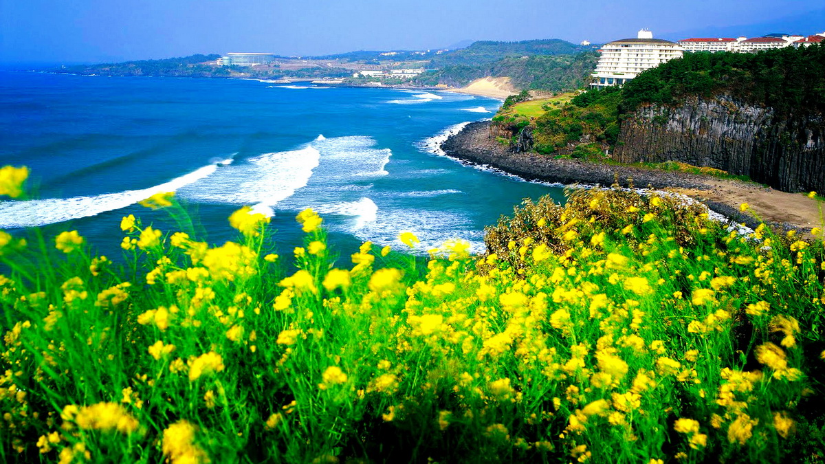 Đảo Jeju- địa điểm du lịch đẹp nhất Hàn Quốc miễn visa cho người Việt 