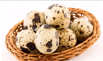 Dù nhỏ nhưng trứng chim cút lại giàu dưỡng chất như trứng gà, trứng vịt 