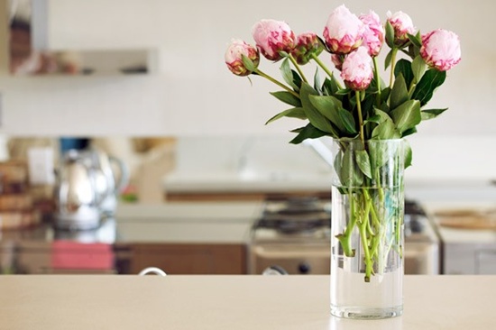 Đổ vào bình cắm hoa tươi một ít nước có ga sẽ khiến hoa tươi lâu hơn 