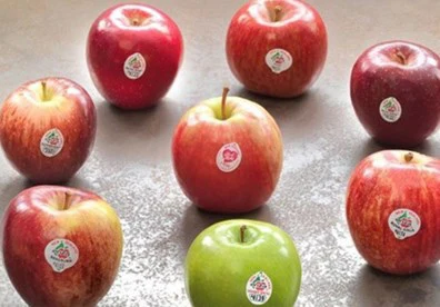 Gi ữa hàng chục loại táo khác biệt không nhiều như thế này, quả nào đến từ nước nào thì người tiêu dùng cũng chỉ biết qua chiếc tem giới thiệu 