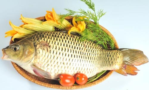 Theo quan điểm dân gian Việt Nam, khi có bầu nên ăn cá chép 