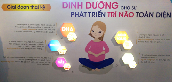 Các quảng cáo sữa luôn quảng cáo rằng DHA, ARA và Cholin sẽ giúp bé của bạn phát triển trí não toàn diện.